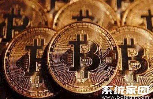 ROSE币钱包操作界面