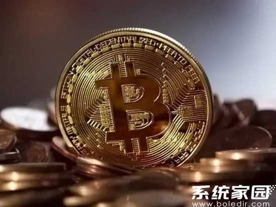 XT币交易所服务