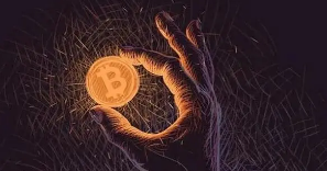 ZBAPP移动端双系统下载指引