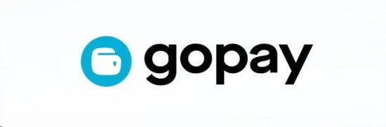 Gopay钱包国内使用合规指南