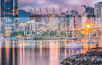 BT种子作用解析及下载原理说明