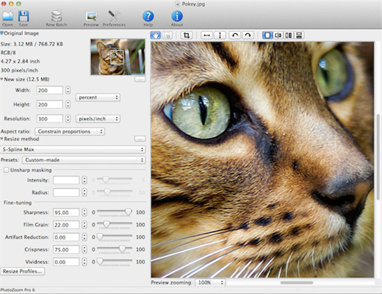 photozoom pro8 mac(u56feu7247u65e0u635fu653eu5927u5668) 