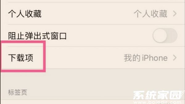 Safari浏览器下载设置界面示意图