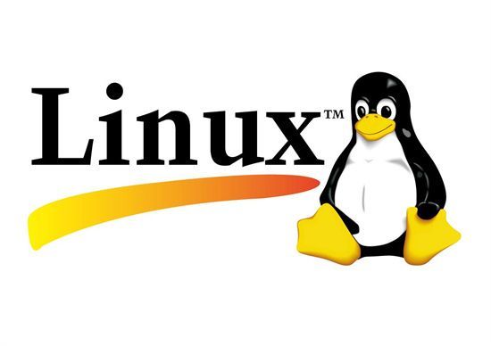 Linux系统路径解析示意图
