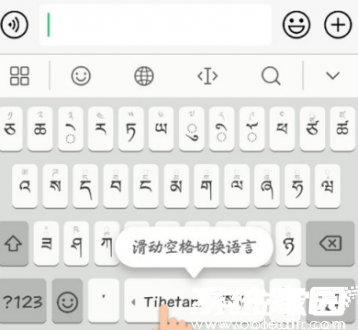 多语言输入界面示例
