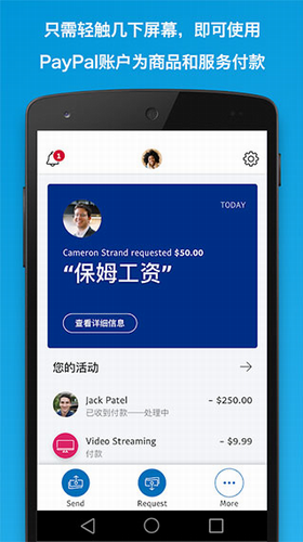 PayPalu4e0bu8f7dAPP