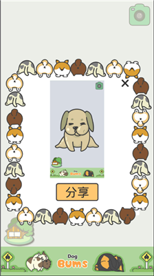 u72d7u72d7du5c0fPPu514du8d39u7248u65e0u5e7fu544au7248
