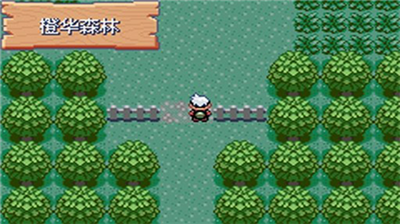 u5b9du53efu68a6u7a76u6781u7effu5b9du77f3u91d1u624bu6307u7248