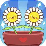 温暖小阳台花卉养成轻松v1.0.1 内置菜单版