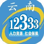 云南人社12333服务平台一键查询社保信息v3.15 安卓版