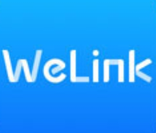 华为云WeLink数字化办公解决方案v7.44.5.541 正式版