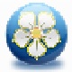 EnShuo视频格式转换工具推荐