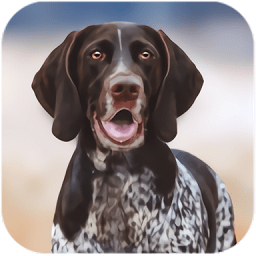 猎犬模拟器中文版下载v1.1.0 安卓版